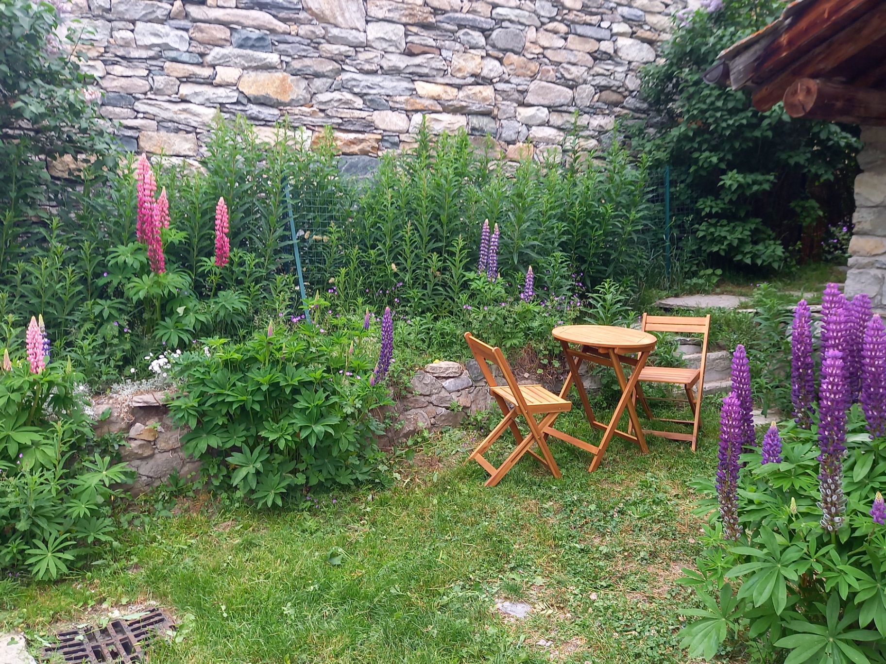 Jardin fleuri devant le chalet